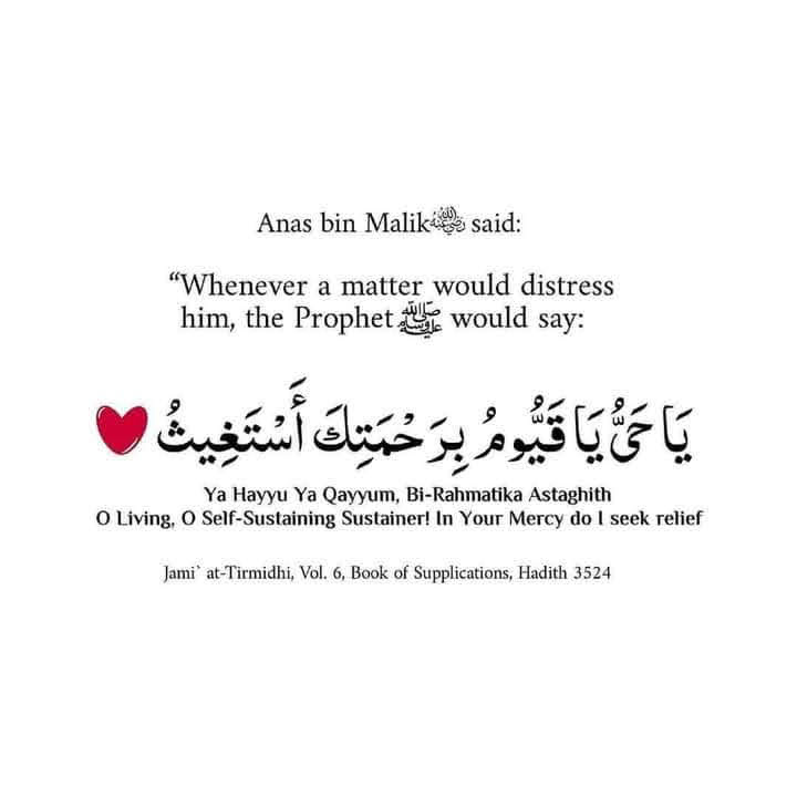 💚
 
.-･ﾟ*｡🕊･
يااااارب ارزقني يارزاق
.
• سُبحان الله💚
• الحمدلله💚
• لا اله الا الله💚
• الله أكبـر💚
...
💚💚💚💚💚

.يأت بها الله ان الله لطيف خبير
　 ･ ﾟ*｡･ﾟ✿｡❥

اللهمَّﷺصَلِّﷺوَسَـــلِّمْﷺوَبَارِك على سيدنا محمد وعلى اله وصحبه اجمعين..
#محمد_خير_خلق_الله