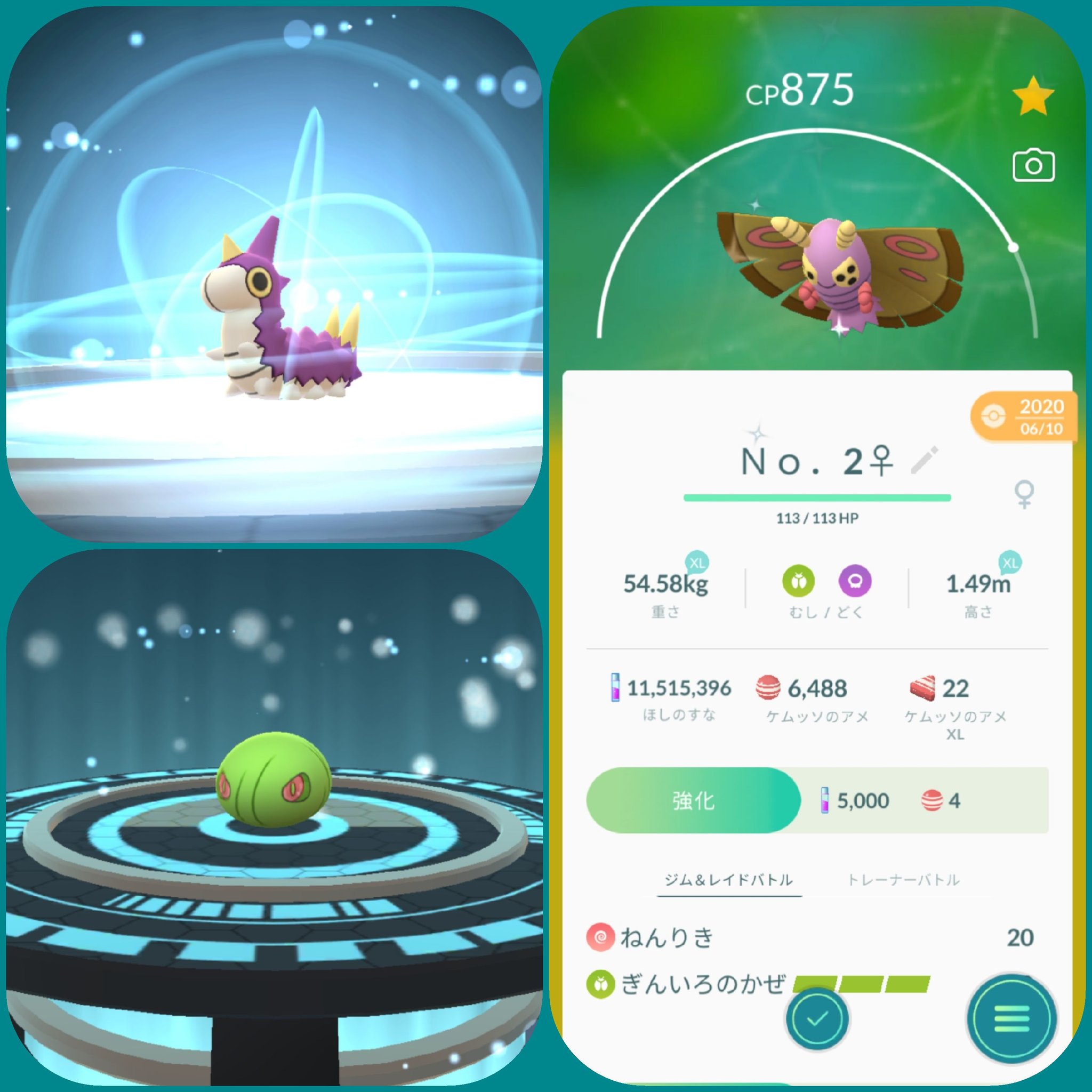 アゲハント色違い Twitter Search Twitter