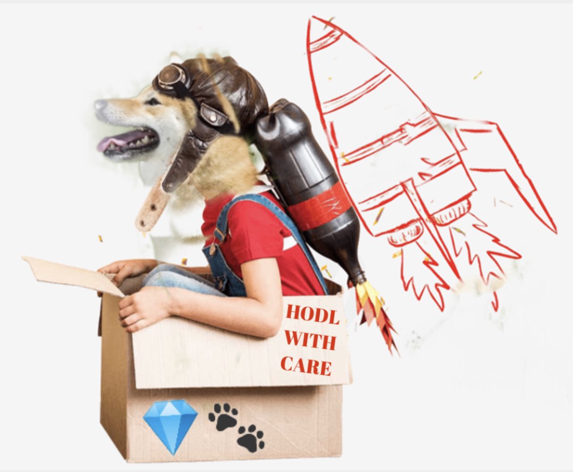 mrkopr's tweet photo. People Unite More People 
Do Only Good Everyday  #moonmoney #AHNF #DogeToAdollar #islandofmisfitdoges                buy buy birdies &amp; #HODL https://t.co/4T1TAWTeSI