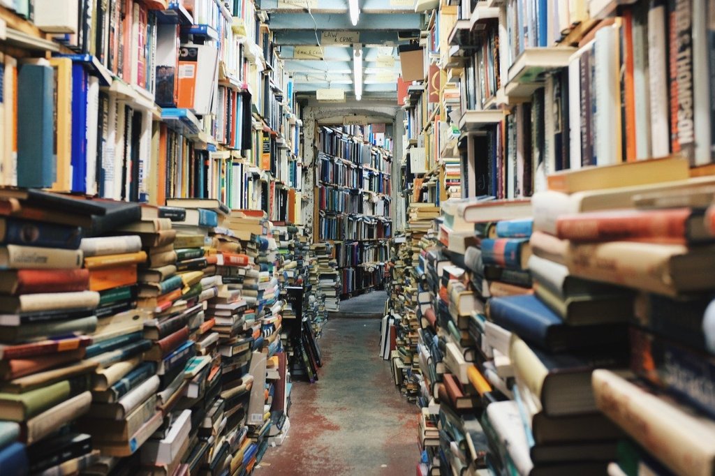 RexWebMedia's tweet image. Book Recommendations
Read on @hashnode
#books #javascriptbooks #book #productivity #programmingblogs rexwebmedia.hashnode.dev/book-recommend…