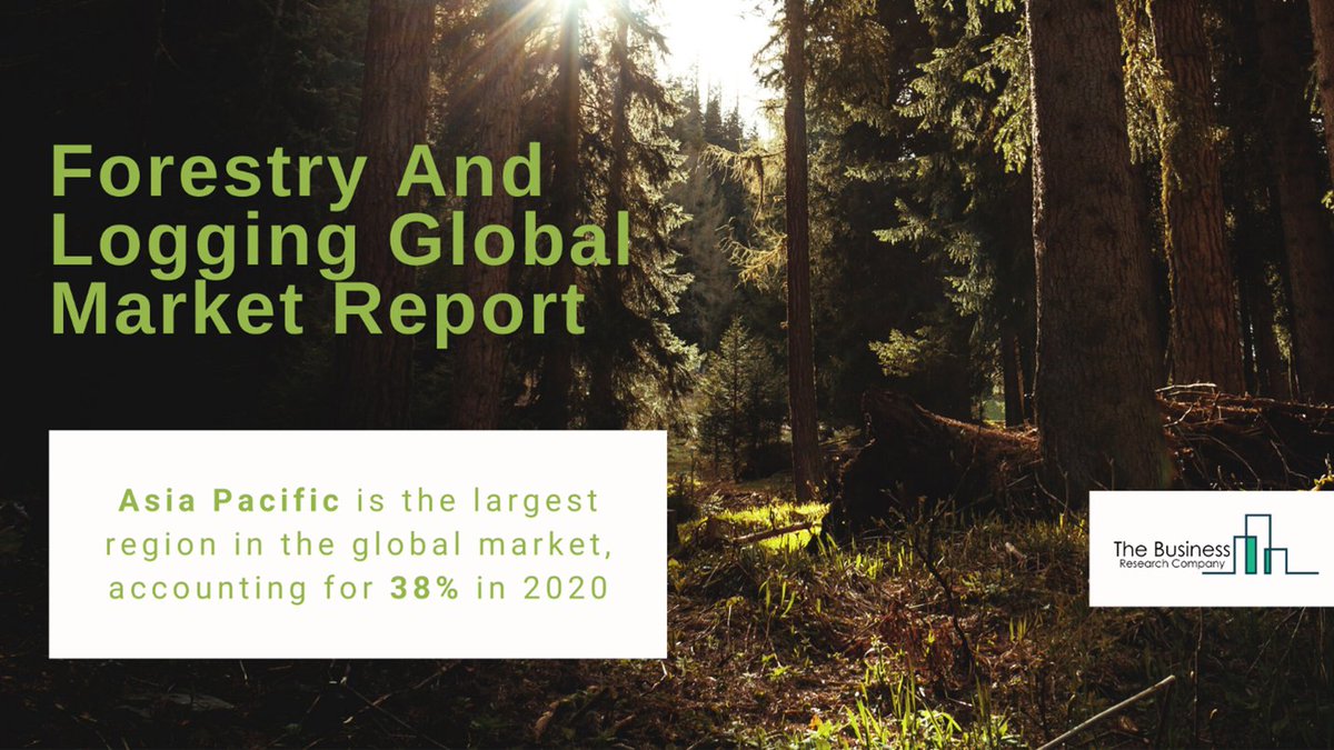 tbrc_info's tweet photo. Advanced techniques in #forestlogging methods have improved safety, #fiberutilization, #environmentalprotection, &amp; productivity with minimum damage to residual #trees: https://t.co/uK7aFf4Y0c
.
.
.
#ForestProducts #Environment #Tree #Harvest #Wood #Timber #TBRC #GlobalMarketModel https://t.co/COVgIntFKB
