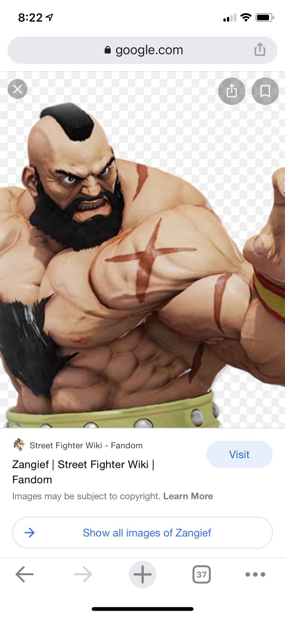 Zangief, Street Fighter Wiki