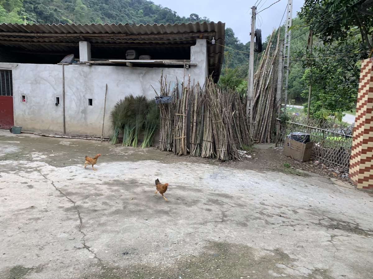 Ánh Ngọc tweet media
