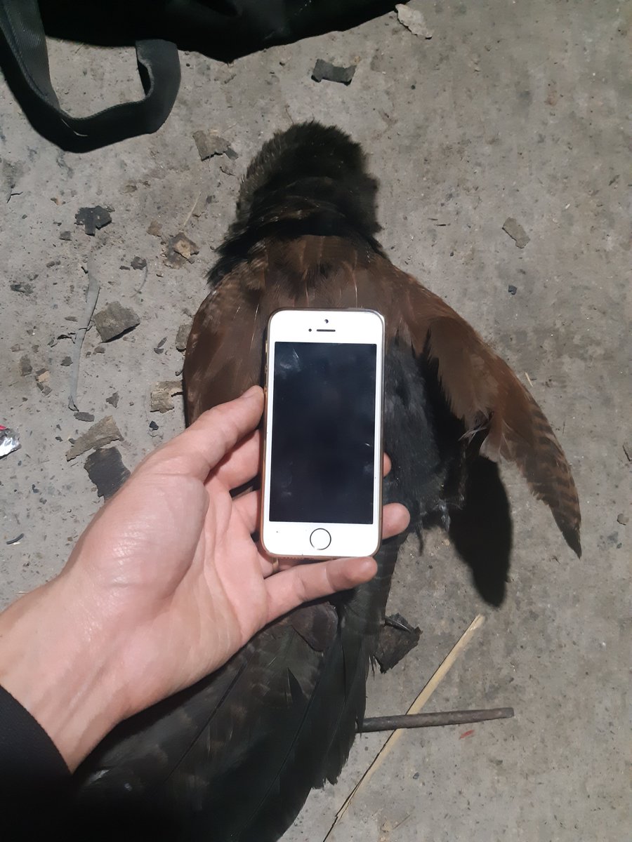 man khoi tweet media