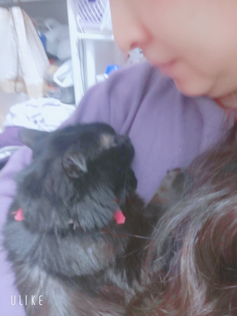 桜ちゃんがなかなか良くならない😿
点滴して調子良くなっても、又すぐなる。
痛くてオシッコあちこち走り回ってるとこに、凛太郎が遊んでるかと思って飛びかかって行くのもストレスかも💦
やおいかん😭
毛布の洗濯と、又病院だ、今日は車乗せてくれる人がお仕事だから、節約して片道は地下鉄だな✊