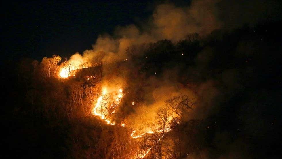weatherindia's tweet photo. #OdishaWildfire: Raging #Simlipal Forest Fire Under Control, No Loss of Life Reported 

https://t.co/26EHtk5Fyh

(📸: IANS) https://t.co/JmMQvyVu7T