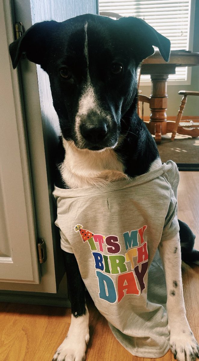 Kim Aldridge tweet media