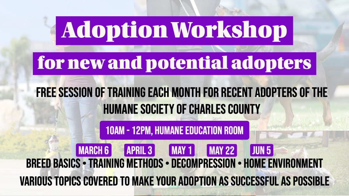 HumaneSocCharCo's tweet photo. Adoption workshop this weekend for new and potential adopters! #hsccrescue #adopt https://t.co/qaNKq9Z2eB