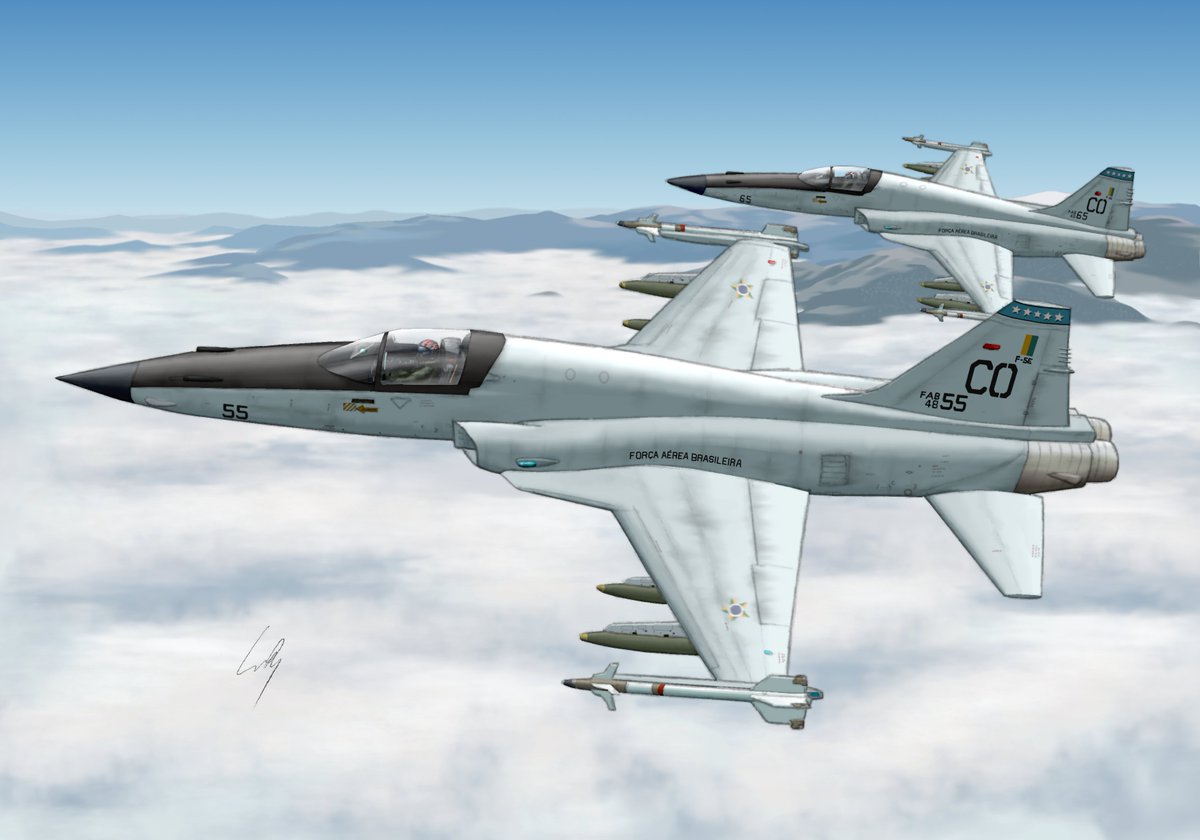 Flying_Hueman's tweet photo. As some of you have probably guessed, I really like the F-5E. So I decided to draw a pair of them in a bunch of paint schemes - hope you guys like them!
1 - Brazilian AF 1/14th Sq, "Aggressor"
2 - FAB 1/14th Sq, "Ghost Grey"
3 - 2, with late anti-glare panel
4 - Swiss AF 19th Sq https://t.co/FIkDr3myDR