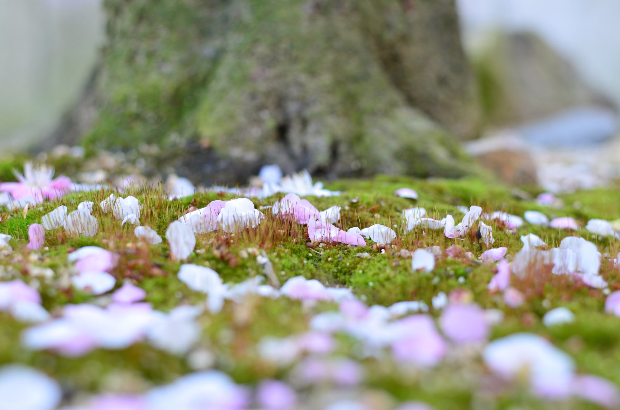 たろーです。 たろーです【歴史解説】 - YouTube