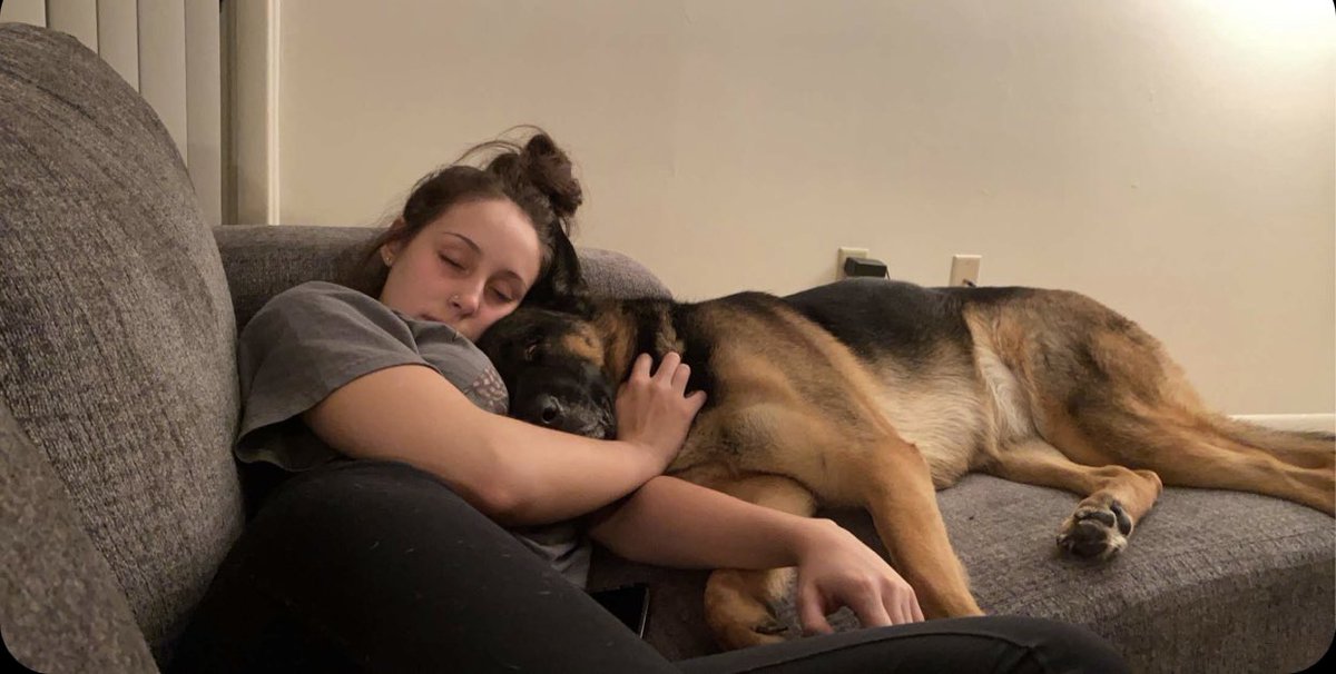 GreysonGuess's tweet photo. It’s amazing to me how dogs know to offer a bit more love on bad days ❤️ https://t.co/AaoECGDzSz