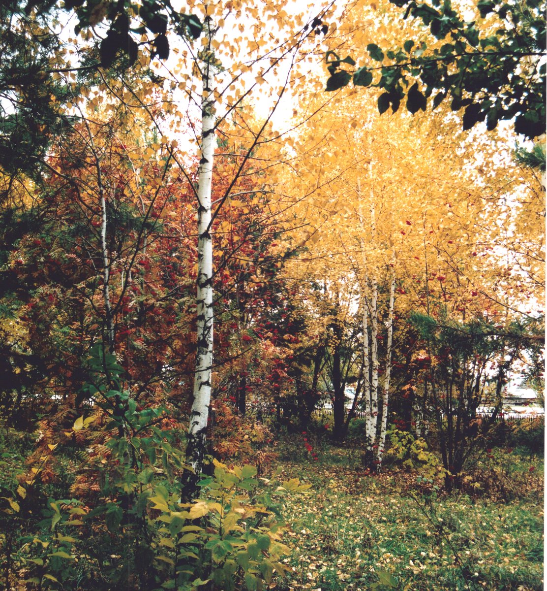 🌄 Хорошего дня, Кошкинский район! 🌄

Сегодня в районе днем ожидается:
🌡 -5 -3
🌨 пасмурно, снег

#КошкинскийРайон