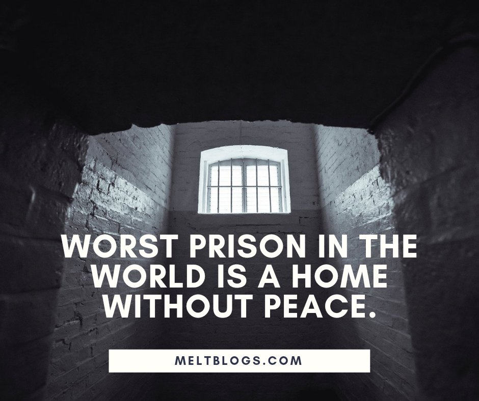 Meltblogs (@theory_motive) on Twitter photo 