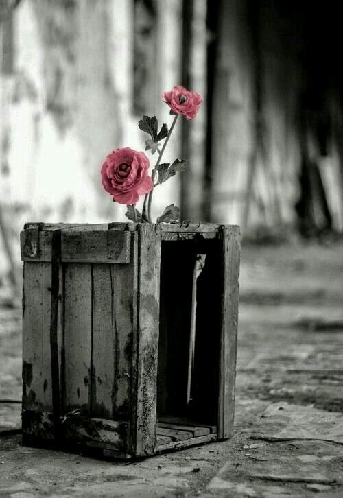 لا تفعل شيئا خفية، لأن الزمن يرى ويسمع ولا يكتم السر.💛✅

#صباح_الخير 
#جمعة_مباركة