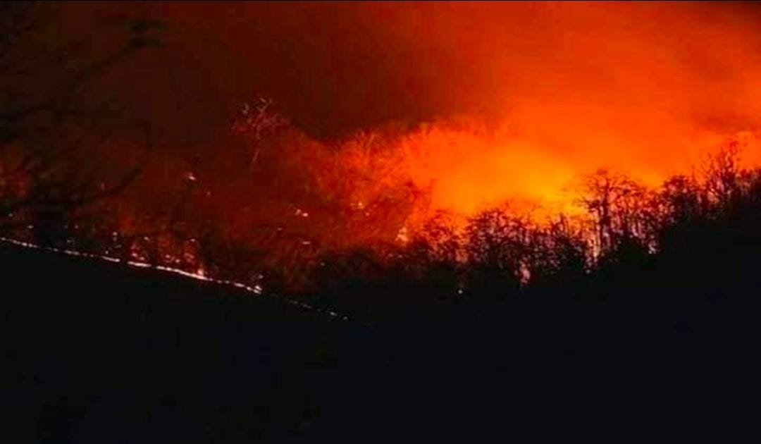 Abhiabh13257133's tweet photo. The similipal Forest🌲 which is well-known to every corner of the people in the world has been burning 🔥 since 9th feb 2021. If this trend 📈 continues a lot of destructions will take place. So Govt should take all possible steps to extinguish the fire immediately. 👆🏻 https://t.co/iG0MDSgfiD