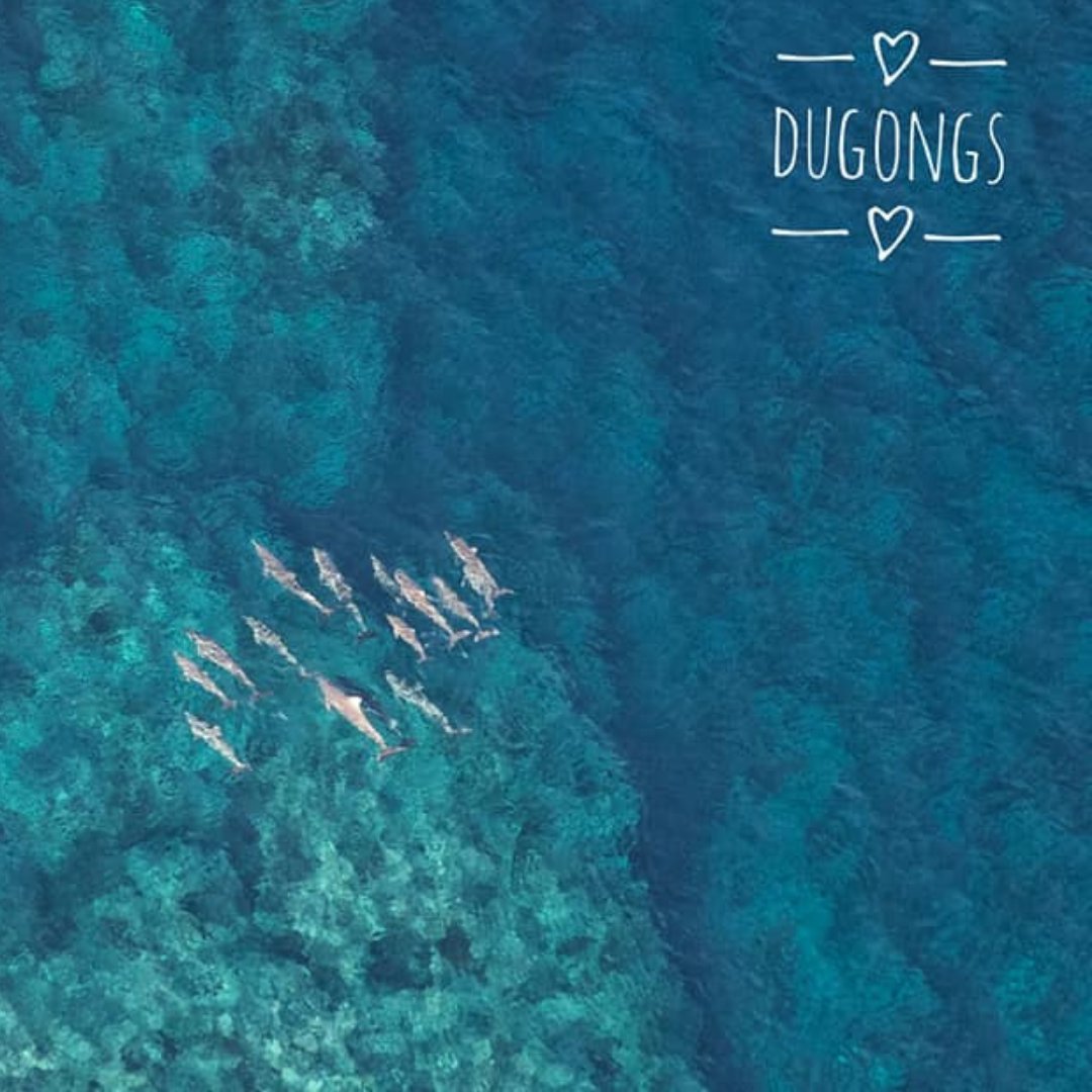 Première course de l'année La Bouraillaise, offres promo des prestataires, cinéma, conférence, nouveaux adhérents, idées des sorties. C'est par ici ! - mailchi.mp/bourailtourism…