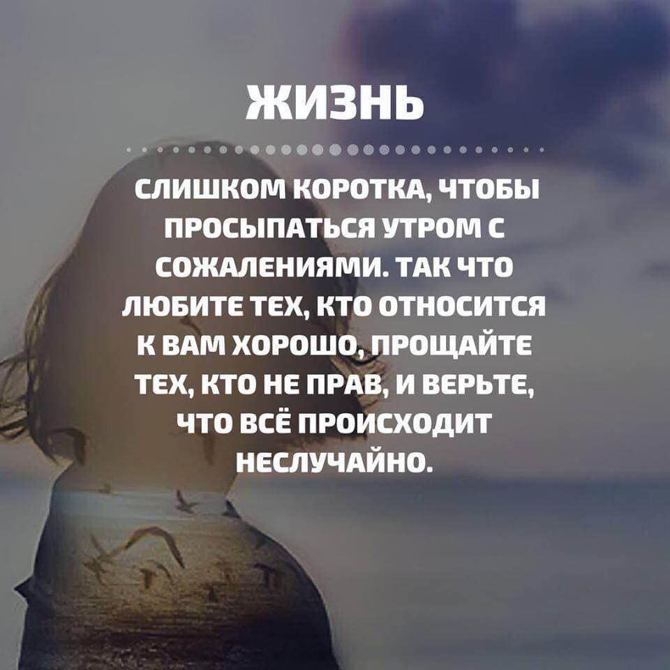 Диля Ходжаева tweet media