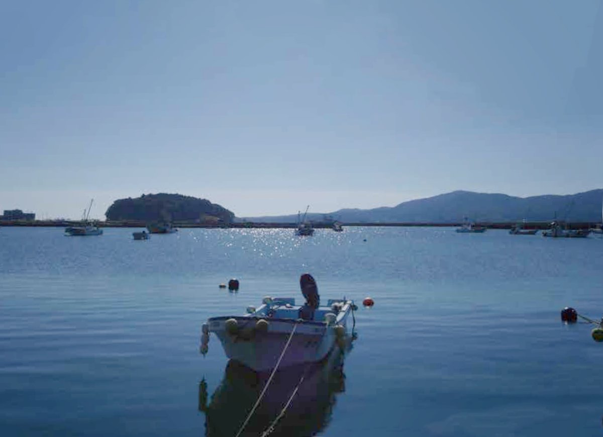 makoto shirai tweet media