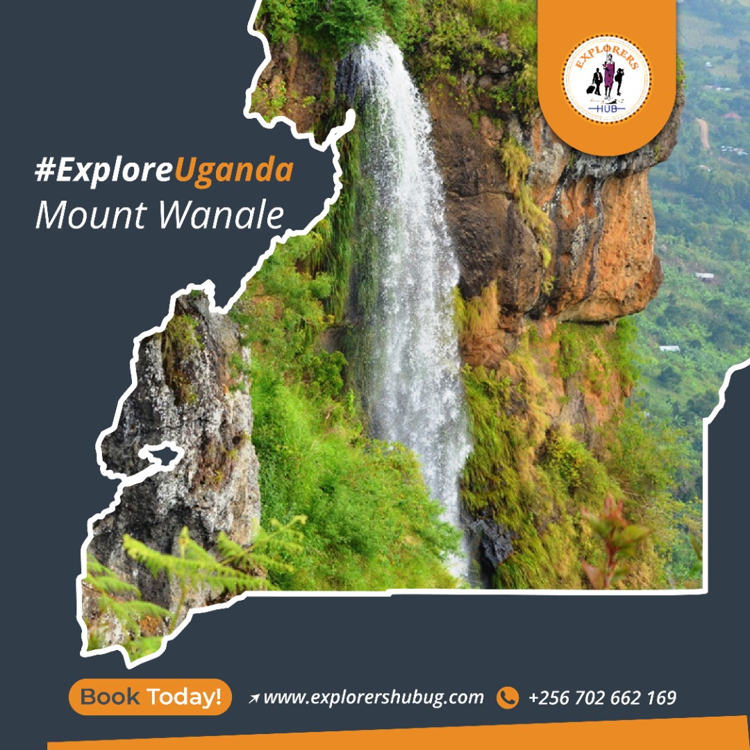 Explorers_hub's tweet photo. "Nature is not a place to visit. It is home" Explore and adventure through the beautiful Mount Wanale and enjoy it’s beautiful scenery.

#Explorershub #ExploreUganda #HaloMarch #Accommodation #Hotel #Businesshotel #Travel https://t.co/1fBnjy1Azx