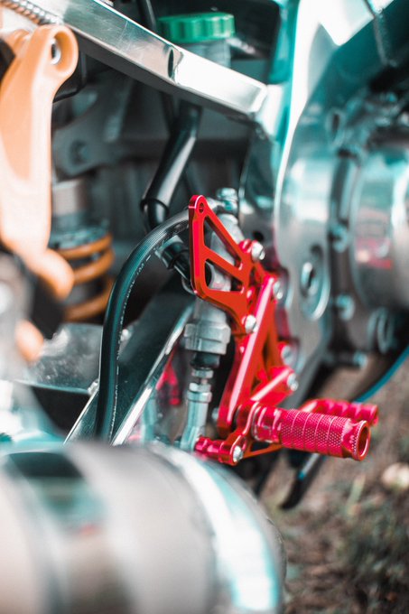 Details. https://t.co/SqbJfowDii<a href="/tag/petportrait"class="tags"><span>#petportrait</span></a>