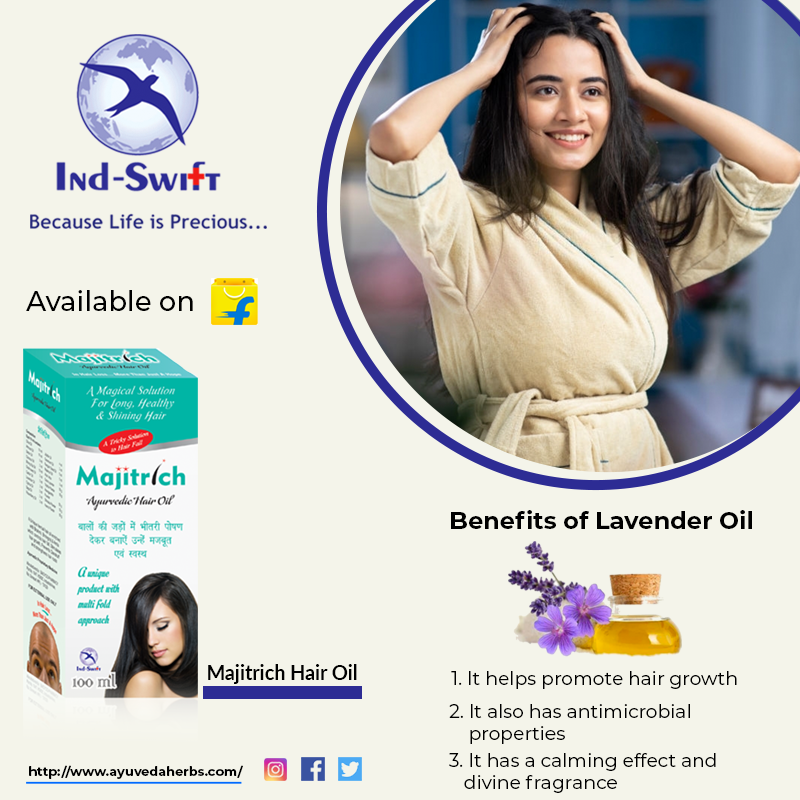 indswiftchd's tweet photo. #Swift #Majitrich #Oil infused with lavender moisturizes hair while leaving them silky soft and smooth also helps calm frizz and leave hair smelling gorgeous.

Visit:- https://t.co/QiJY7aClMB

#HairOil #LavenderOil #IndSwiftGroup https://t.co/fOy8vAErGP