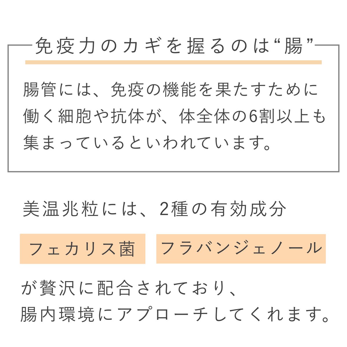 Blanche Etoile Shop On Twitter 美温兆粒 ー 化学的根拠のとれた2種の有効成分が贅沢に配合され 免疫力を担う 腸 にアプローチする 濱田商店独自のサプリメントです だんだんと気候も変わり 春もすぐそこ 季節の変わり目も健康で過ごす為に 美温兆粒で腸内