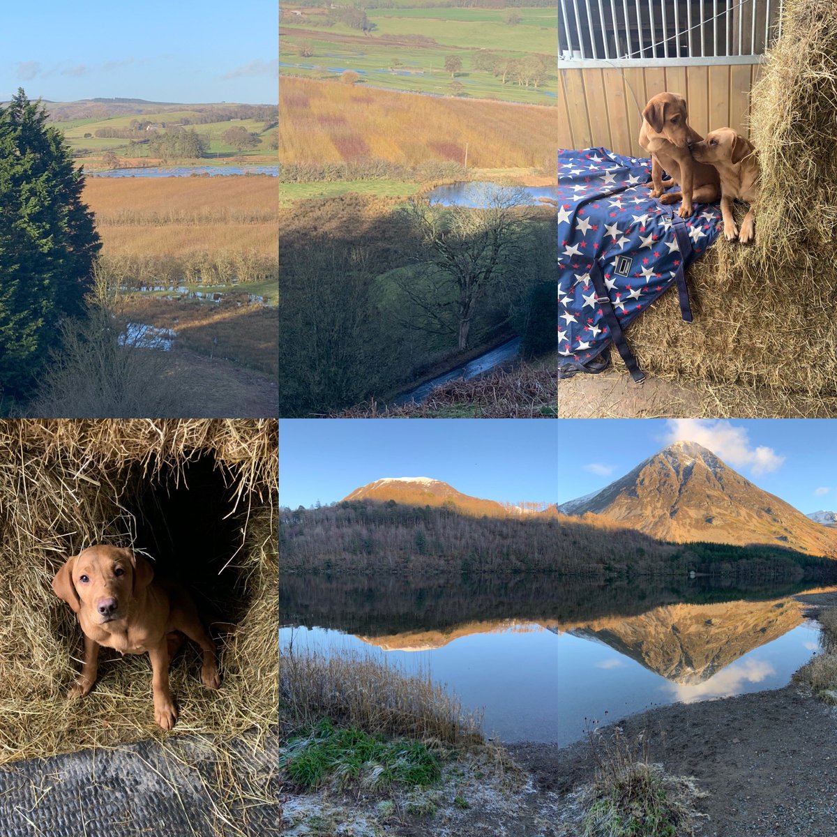 airbnb.com/h/cragendfarmh… 
Please retweet !  An excellent place to come for walkers,mountain bikers,hikers and bikers! Impressive scenery and lots to do !