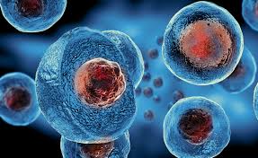 dranantbagul's tweet photo. Are you looking Best Stem Cell Therapy in Pune?
Universal Hospital i..For more info visit...https://t.co/rkNNOkHW1R https://t.co/aQBp8uXFxH