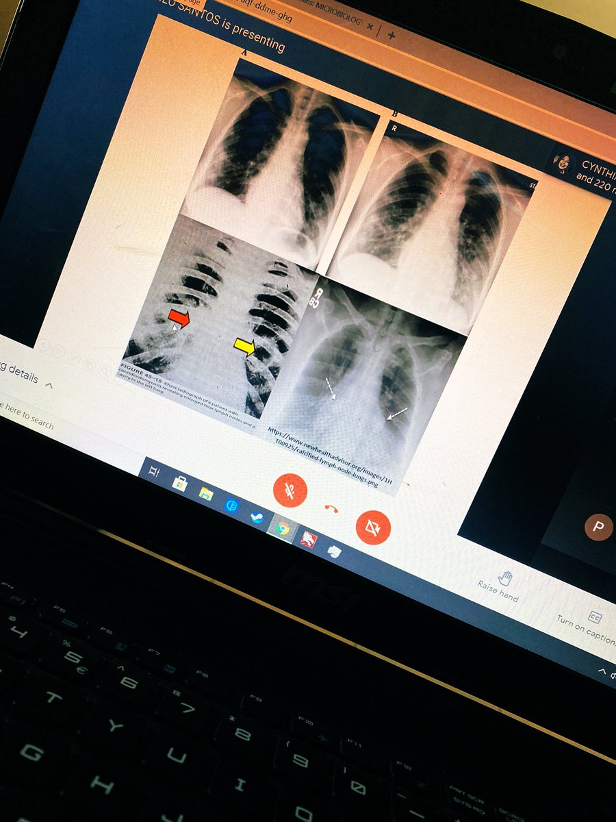 ProjectMD3's tweet image. Mycology 🍄