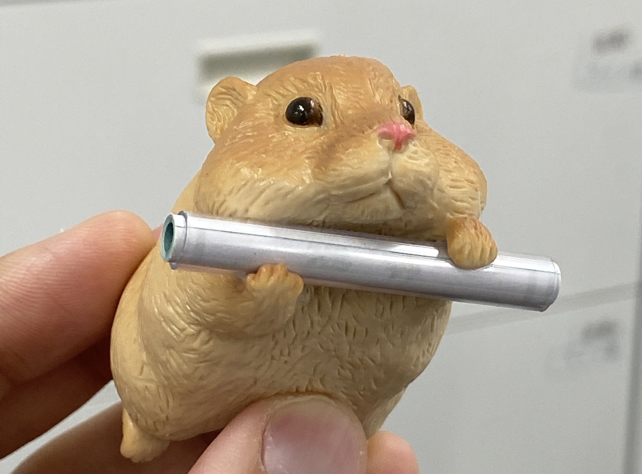 アイピーフォー カプセルトイ 公式 Twitterissa ハムスターがおみくじを持ってきてくれる ハムみくじ 超おすすめです 担当k