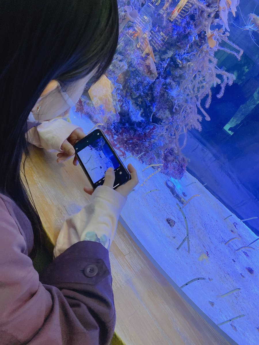 彼女と水族館デートなう Twitter Search