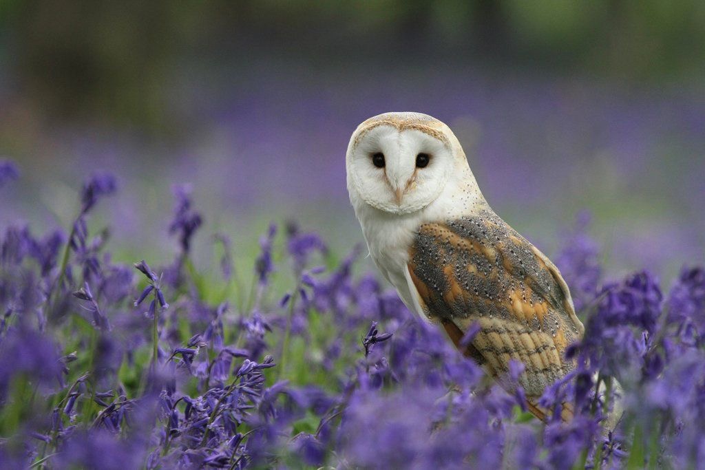 Happy Friday everyone 
Have a great day 
And a wonderful weekend ❤️