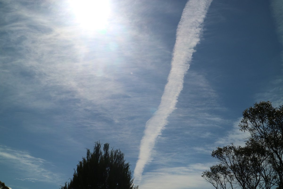 wanderinganimal's tweet photo. Remember(too young)how #Australia was before 2010?...
&all the way back 50-60 years ago till 10..sudden colour change in our skies, long persisting #contrails, never seen B4 yet #AskBOM lies "contrails"/suddenly no rain yet rainclouds were there, but aerosols soaked 99% moisture! https://t.co/sPxuGOXzT7