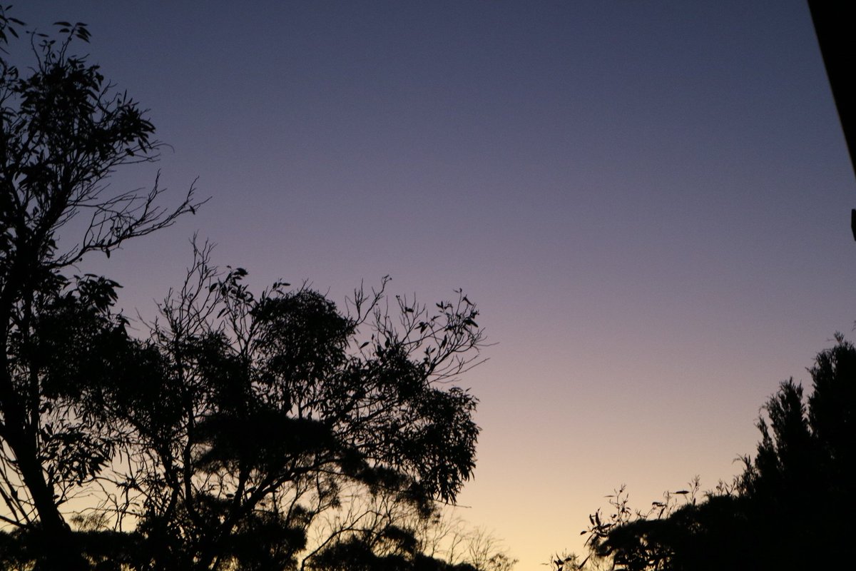 wanderinganimal's tweet photo. Remember(too young)how #Australia was before 2010?...
&all the way back 50-60 years ago till 10..sudden colour change in our skies, long persisting #contrails, never seen B4 yet #AskBOM lies "contrails"/suddenly no rain yet rainclouds were there, but aerosols soaked 99% moisture! https://t.co/sPxuGOXzT7