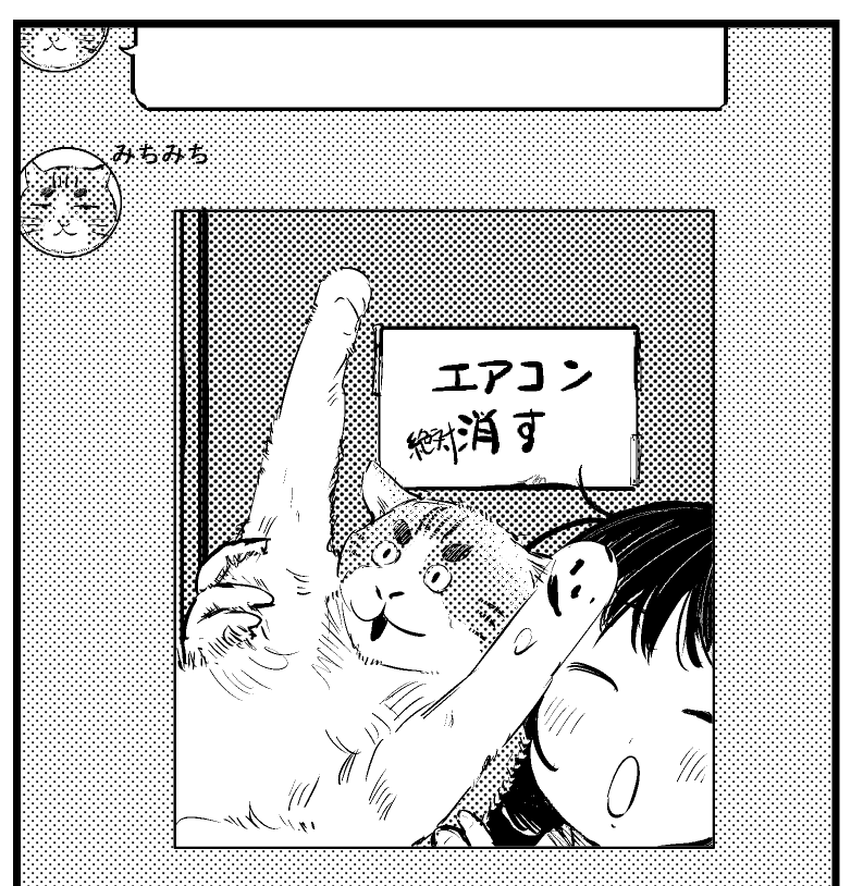114話。今週のお気に入りコマ。
今週は猫回でもあしました。
どのショットも捨てがたかったです。
#もういっぽん 