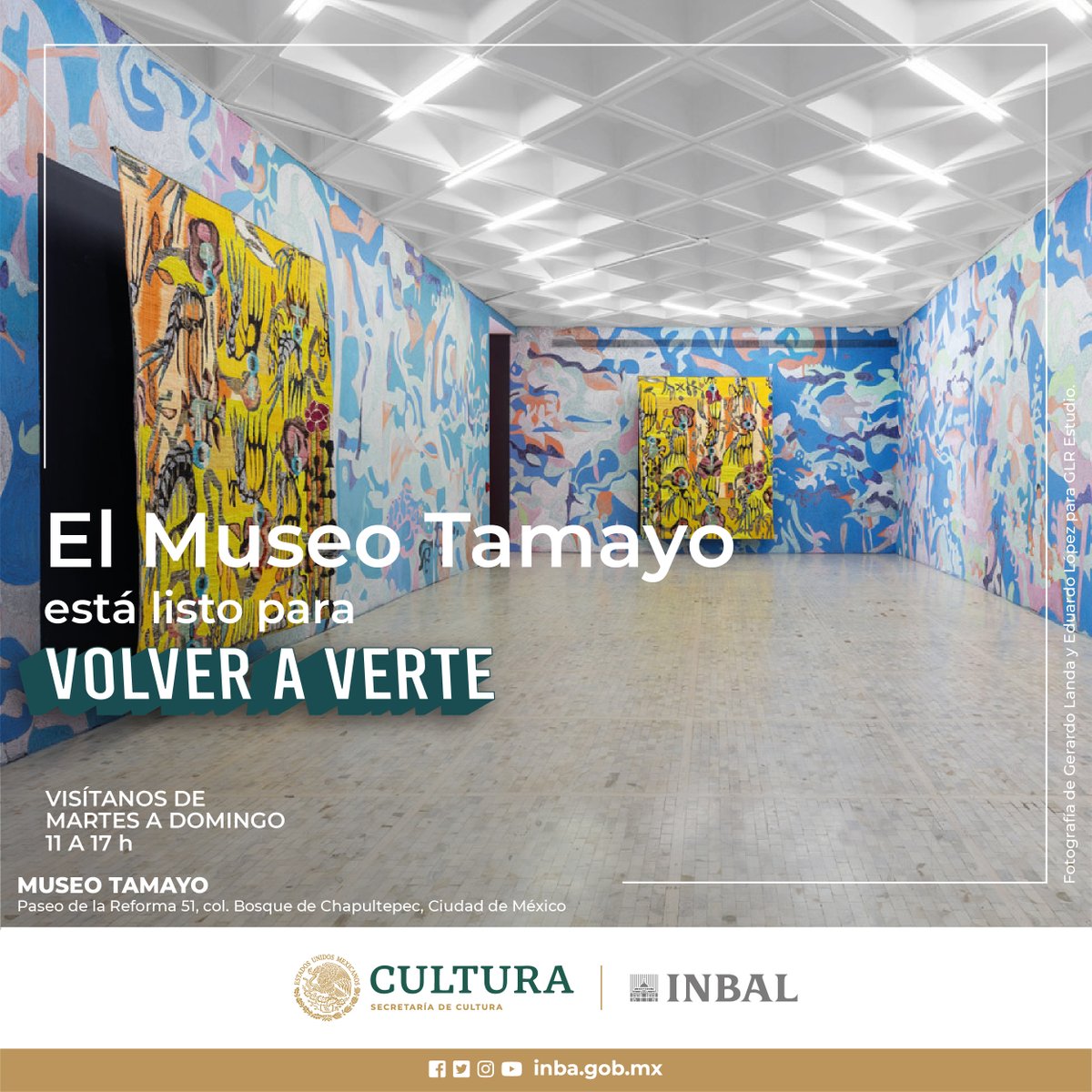 bellasartesinba's tweet photo. ¡El @museotamayo abre sus puertas nuevamente con la exposición "OTRXS MUNDXS"!

Es el segundo recinto que retoma sus actividades presenciales dentro de la programación escalonada de apertura de la @redmuseosINBAL.

Detalles 👉 https://t.co/eAsRBuBNAx
#VolverAVerte
#ReencontrARTE https://t.co/CXUyZ8oTbu