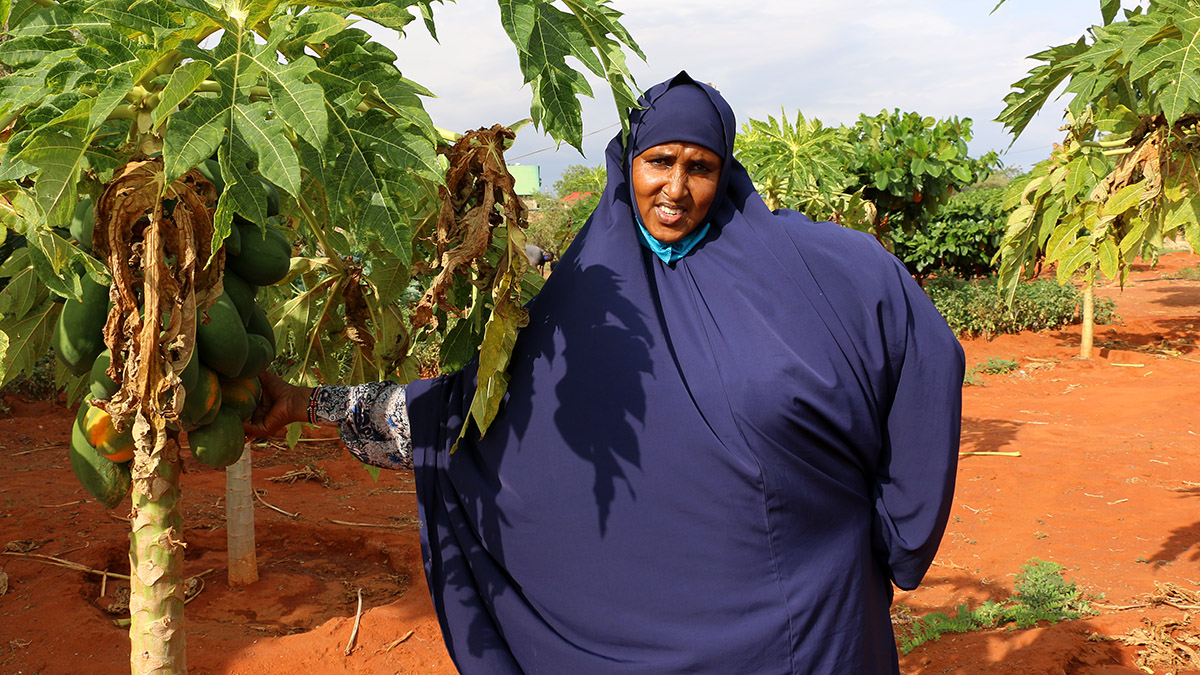 WFP_Africa's tweet photo. Meet Habiba, a farmer from #Kenya 🇰🇪 

She is a mother of seven, a community leader, a farmer, an activist AND she also shelters 14 vulnerable women from hunger.   

Read her extraordinary story 👇

https://t.co/MFmm3rwgRw

#WomensDay #IWD2021 https://t.co/mKXt8wc6kq