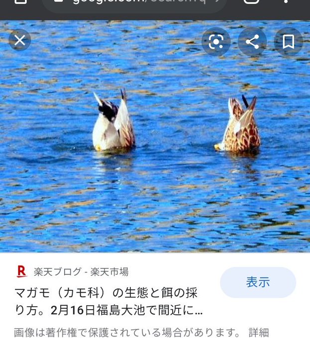 クレヨンしんちゃん ケツだけ星人は規制で禁止に デマなのか考察 サブカルウォーカー