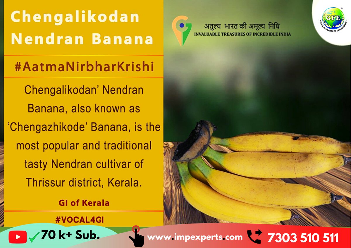 ये है #kerala #state के #most #exported केले !
If you want to Connect with #Farmers of this #Product then Simply Share your CONTACT Number in Comments now.
#chengalikodan #nendran #banana #Start #fruit #export #import #business #international #trading by #impexperts #GFE #Group https://t.co/t5sVNlY97S