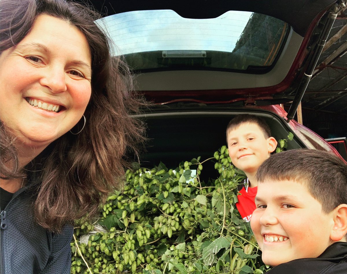 Guess what I am doing tomorrow? #freshhop beer!!!! Looking to brew a Pale Ale using American Ale, Munich and Chit Malt - white foam 🤙🏼 oh and the hop is Cascade kindly donated by Leo from Lincoln Uni 👌 cheers team #lovegladfield #freshhopbeer #whitefoam