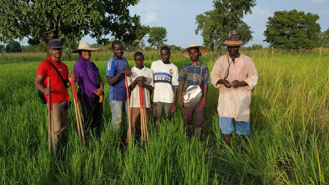 PHIM_research's tweet photo. [#phimPhD] A warm welcome to Amadou Diallo, co-supervised PhD student @umontpellier #UnivOuaga1 working on #Xanthomonas &amp; #rice resistance in #BurkinaFaso https://t.co/nScd0CMKis M. Sawadogo @boris_szurek #XPERT @ird_fr https://t.co/Lu13wduUxD @BurkinaMae https://t.co/m6WR7ajjbA
