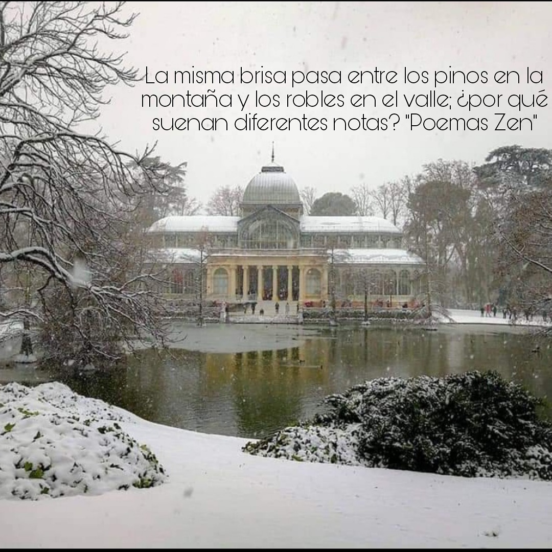 El éxito en la vida tiene que ver con la actitud que mostramos ante los acontecimientos menos agradables. Una actitud positiva ayuda a valorar lo que tenemos, a vivir el presente con más intensidad y a mirar el futuro con menos miedo.
#paz #ActitudPositiva #exito