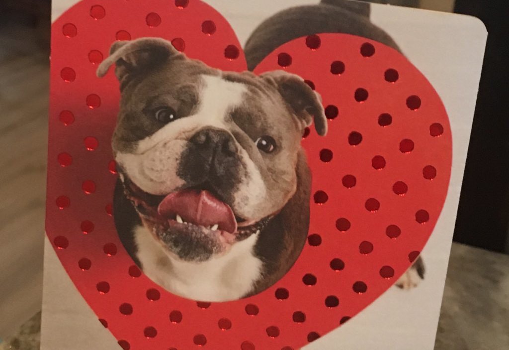 ChristineBemis2's tweet photo. @EDUC8_2_EMPOWER @Teacherchick27 @AmyTheLifeCoach @hayes_melisa @MatthewXJoseph @dgoble2001 @msjingold @donna_mccance @DrMBEdmunds @rhondajsp Hi Kelly! Enjoy today! I love your uplifting posts ❤️❤️❤️ #notbud @dgoble2001 #closesecond https://t.co/zdzVHp5xSP