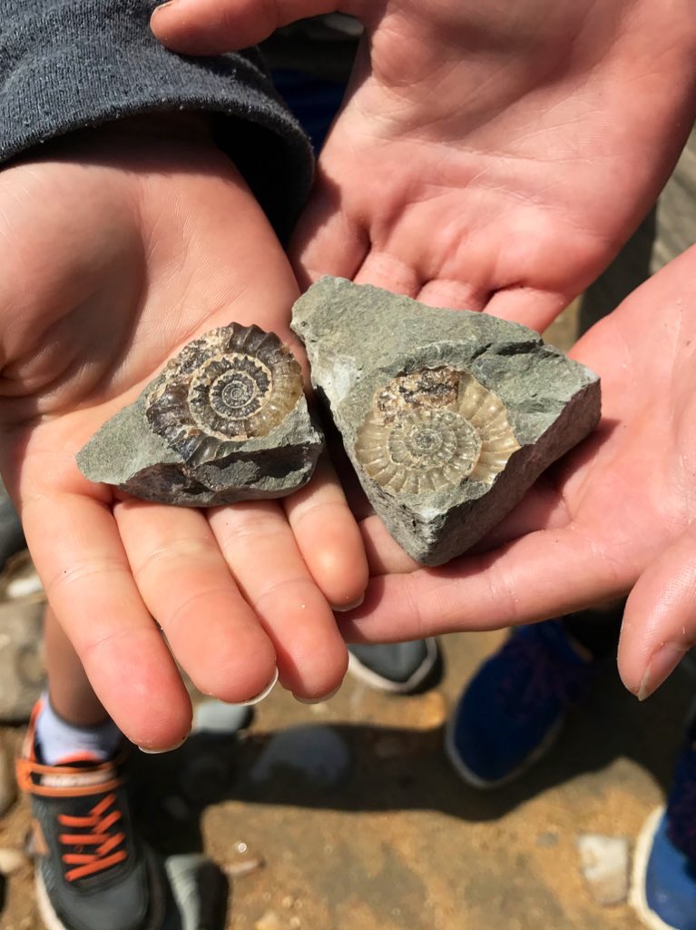 jurassicguides's tweet image. I’ll be back running fossil walks from the 12th April. If you were thinking of booking a walk, let me know as soon as possible so I can check the tides and book you in. If you could retweet this post and let your friends know, it would help me get back up on my feet again!🙂🙏