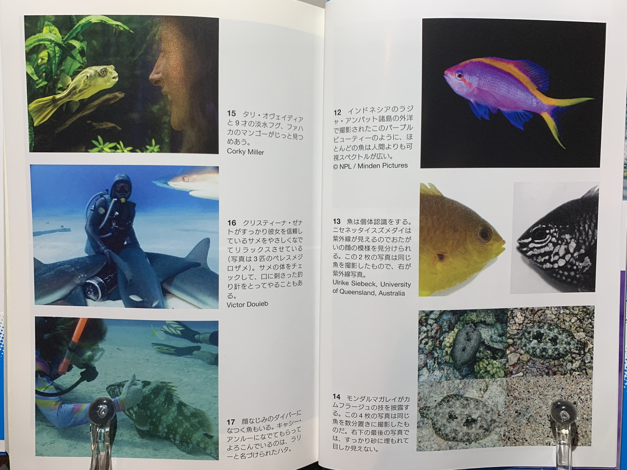 M Twitterissa ジョナサン バルコム 魚たちの愛すべき知的生活 桃井緑美子訳 白楊社 地球の海洋で探索されているのは全体の5 にも満たない 深海は地球最大の生物生息域で 地球の生物の大半がここに住んでいる M Twitterissa ジョナサン バルコム 魚たちの愛すべき知的生活 桃井緑美子訳 白楊社 地球の海洋で探索されているのは全体の5 にも満たない 深海は地球最大の生物生息域で 地球の生物の大半がここに住んでいる