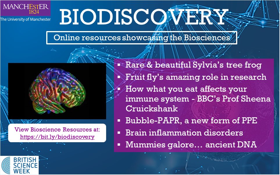 MosneagIoana's tweet photo. To celebrate @ScienceWeekUK, we - @BIG_research joined @OfficialUoM in showcasing the biosciences, with online resources aimed at secondary school pupils &amp; the general public. Check out ours: https://t.co/DTURRSPLfB

+ other topics: https://t.co/dXRN6KPWgA
#BritishScienceWeek https://t.co/CEsaKyMjXp