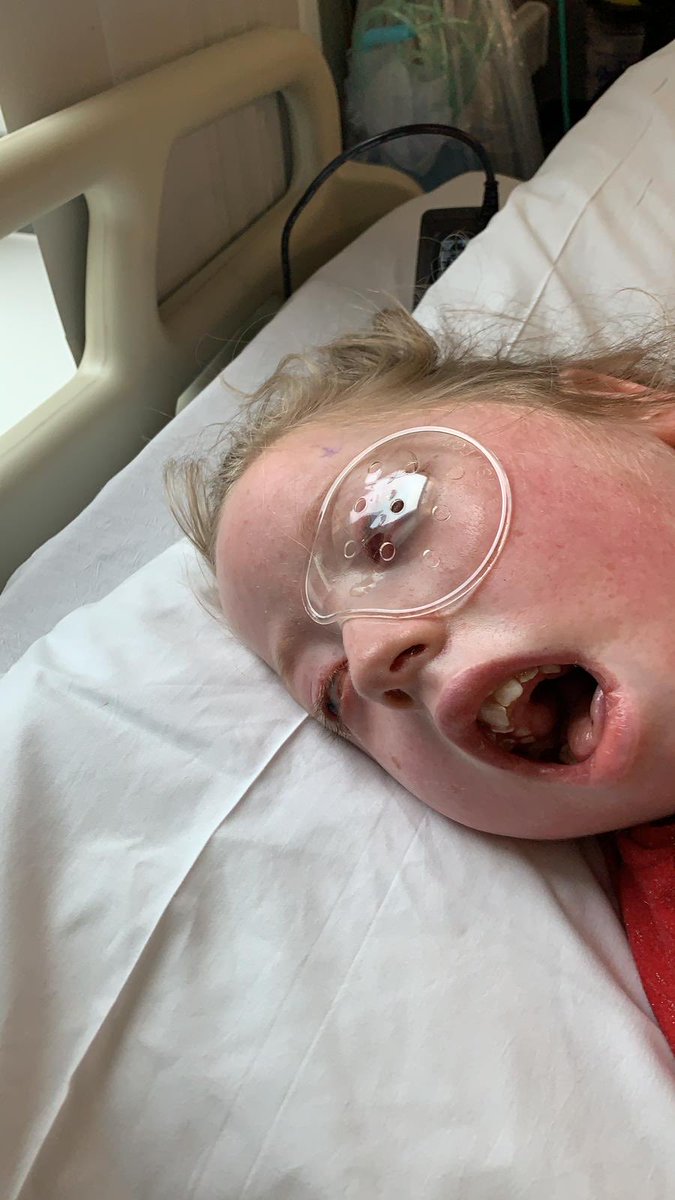 HelpHarriet's tweet image. Harriets eye operation went well but a long road ahead for recovery.