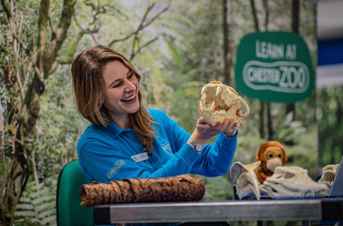 Chester Zoo (@chesterzoo) on Twitter photo π₯Get YOUR questions ready...
Join our <a href="/LearnatCZ/">Chester Zoo Learning</a> team at 1:30pm for a LIVE Q&A and FREE education sessionππββοΈ
Our experts will be answering YOUR questions about the animals featured in today's LIVE Virtual Zoo Dayπ
fb.me/e/2aBwRMIpu π₯Get YOUR questions ready...
Join our <a href="/LearnatCZ/">Chester Zoo Learning</a> team at 1:30pm for a LIVE Q&A and FREE education sessionππββοΈ
Our experts will be answering YOUR questions about the animals featured in today's LIVE Virtual Zoo Dayπ
fb.me/e/2aBwRMIpu