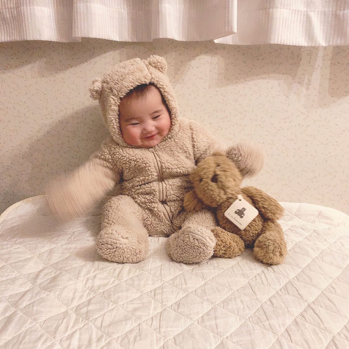 kan52kan's tweet photo. 🧸 https://t.co/kt2y9JWVM9