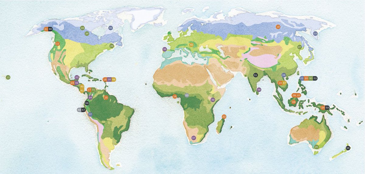 ipbesfr's tweet photo. 🦋>25 % des terres du globe sont détenues, gérées, utilisées ou occupées traditionnellement par des peuples #autochtones

Découvrez le rôle essentiel qu'ils jouent dans la protection de la #nature et de la #biodiversité ➡️https://t.co/jSgDqab8mc

#PourLaNature #LBO2 https://t.co/qLJgdOVmVq